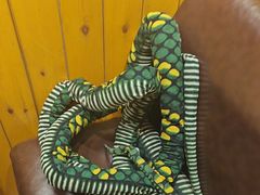 -伯爵·沉浸式超级密室·直营店