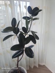 -HEYAN荷妍专业脱毛连锁机构
