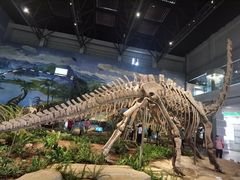 -自贡恐龙博物馆