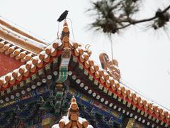 -故宫博物院(故宫)