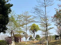 -东莞植物园