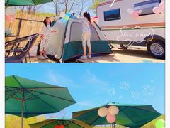 -金石滩蓝莓谷庄园