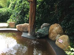 -威海天沐温泉度假区