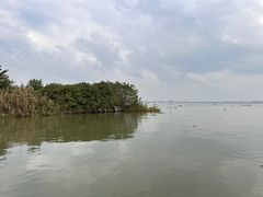 -莲花岛景区