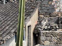 -MOJ coffee(瓯海泽雅水碓坑店)