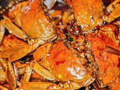 -靓靓蒸虾·头牌蒸虾(南山桂庙店)
