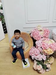 -首尔宝宝SEOUL  BABY STUDIO(通州店)
