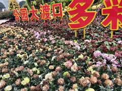 -南山植物园