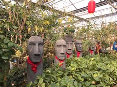 景点-南宫五洲植物乐园