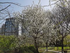 -沈阳鸟岛