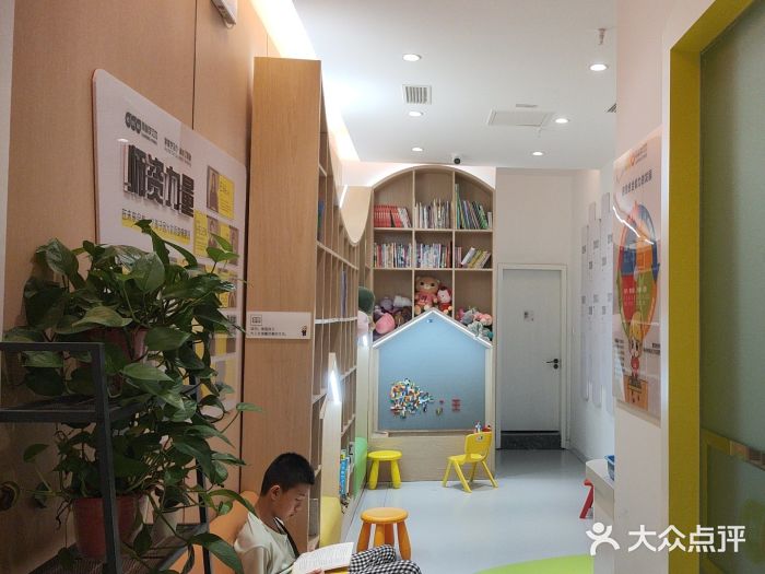 金色雨林学习力培优(专注力提升)图片
