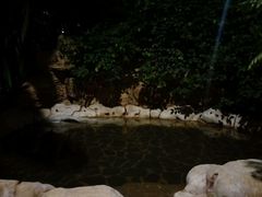-龙达温泉生态城