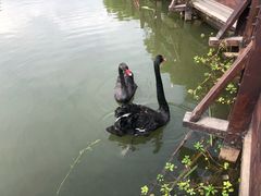 -长兴太湖图影湿地文化园