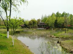 -尚贤河湿地