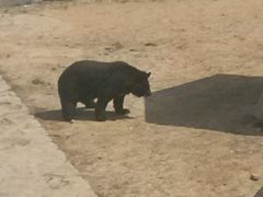 -石家庄市动物园