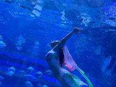 -华夏文旅西安度假区