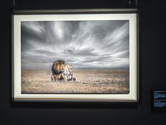 -罗红摄影艺术馆