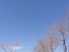 -天津妈祖文化园