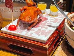 -大鸽饭(体育西路店)