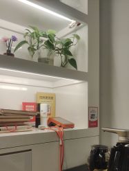 -诗碧曼养发