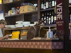 -La Tavernetta(Bar à Vin)(乌鲁木齐路店)