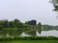 -东郊湿地公园