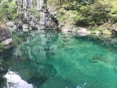 -石台牯牛降景区