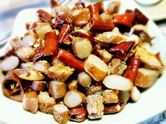 -易门野生菌府·菌海森林(月牙潭公园店)