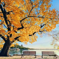 -Oasis Beauty水磨坊科技美肤中心