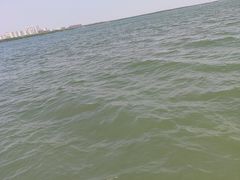 -天津东丽湖风景区