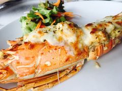 -Onion restaurant