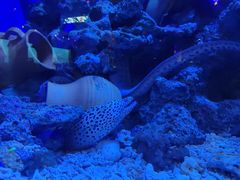 -华夏文旅西安度假区