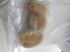 iphone_upload_pic-隆盛园火勺馄饨面(十一纬路店)