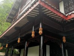 -乐山乌木文化博览苑