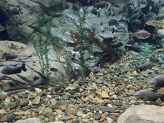 -波塞冬旅游度假区