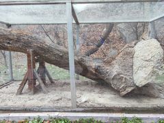 -白佛山景区