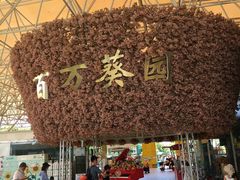 -百万葵园
