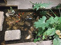 -邈墨茶馆(大兜路1号店)