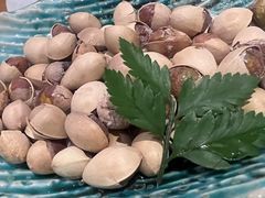 -鮨桐日本料理(望京店)