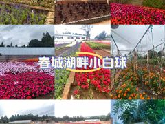 -昆明春城湖畔度假村