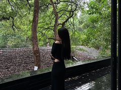 -凤凰御元艺术基地