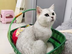 -宠颐生斯嘉宠物医院·急重症·心内科(谷阳北路分院)