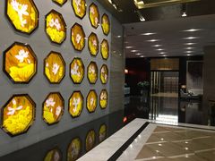 -郑州正方元国际酒店