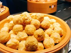 -龍歌自助小火锅(城阳万象汇店)