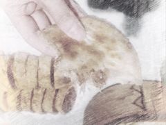 -汉唐宴长安食府