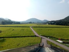 -艾米稻香小镇