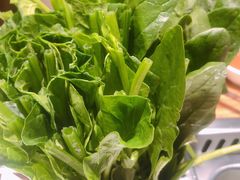 -草原塞蛮羊火锅城(港湾店)