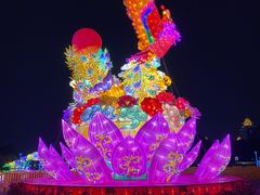 -映月湖公园