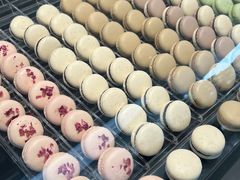 -罗红摄影艺术馆