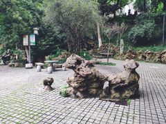 -伯先公园